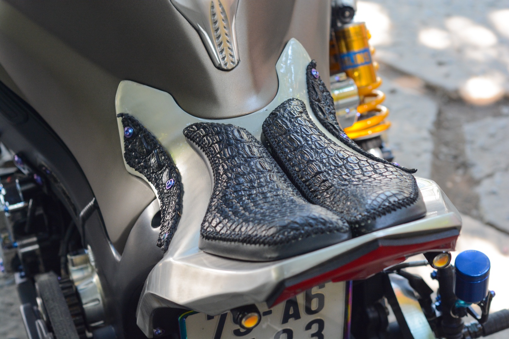 Suzuki Hayabusa do banh beo cua biker Can Tho anh 7