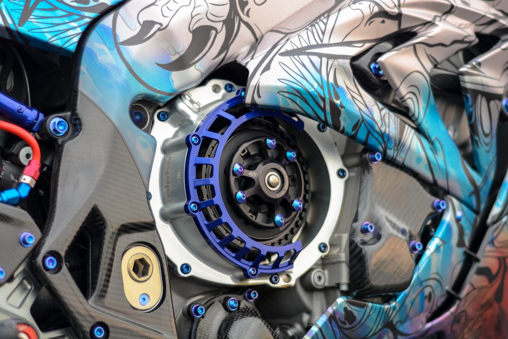 BMW S1000RR full carbon anh 9