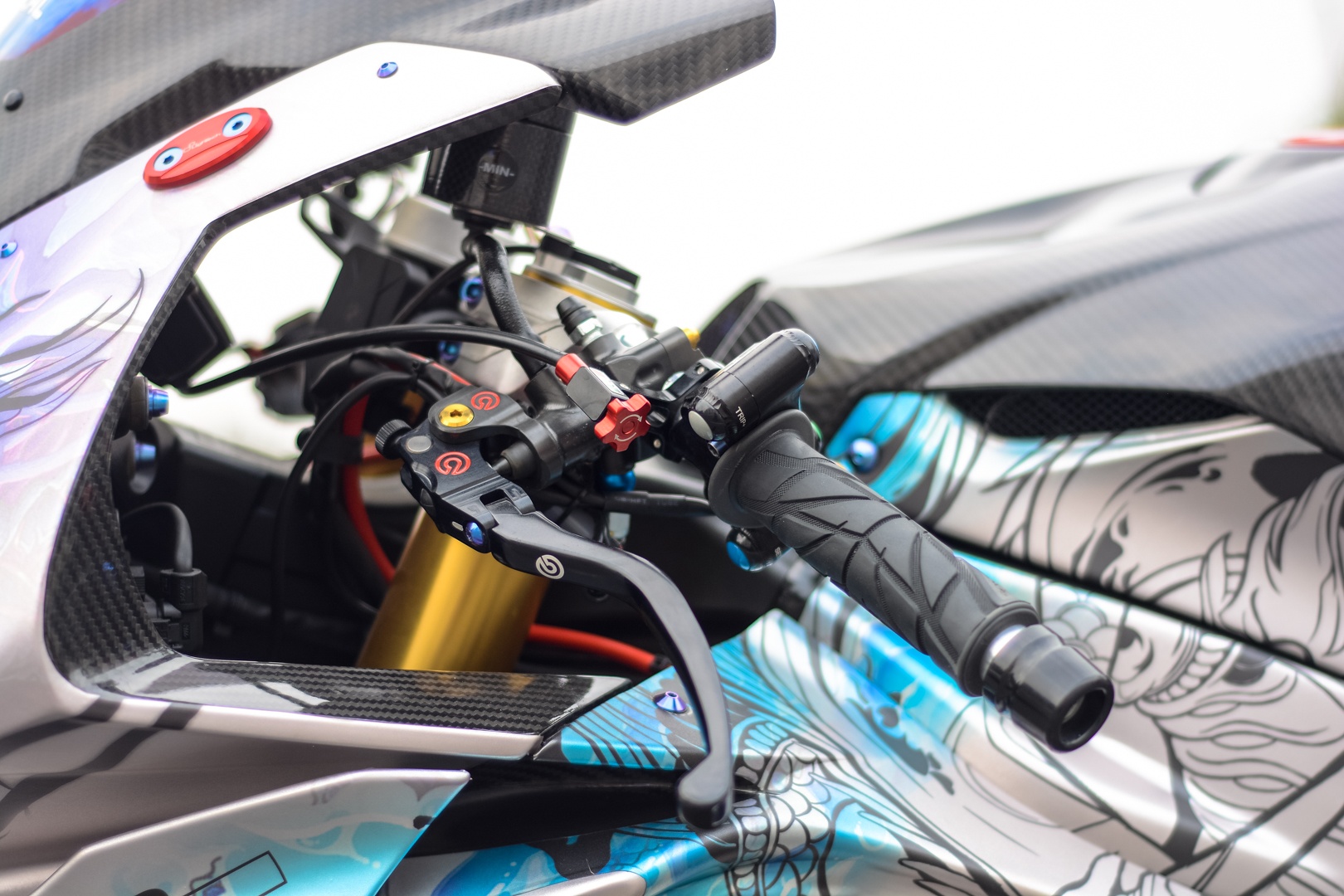 BMW S1000RR full carbon anh 6