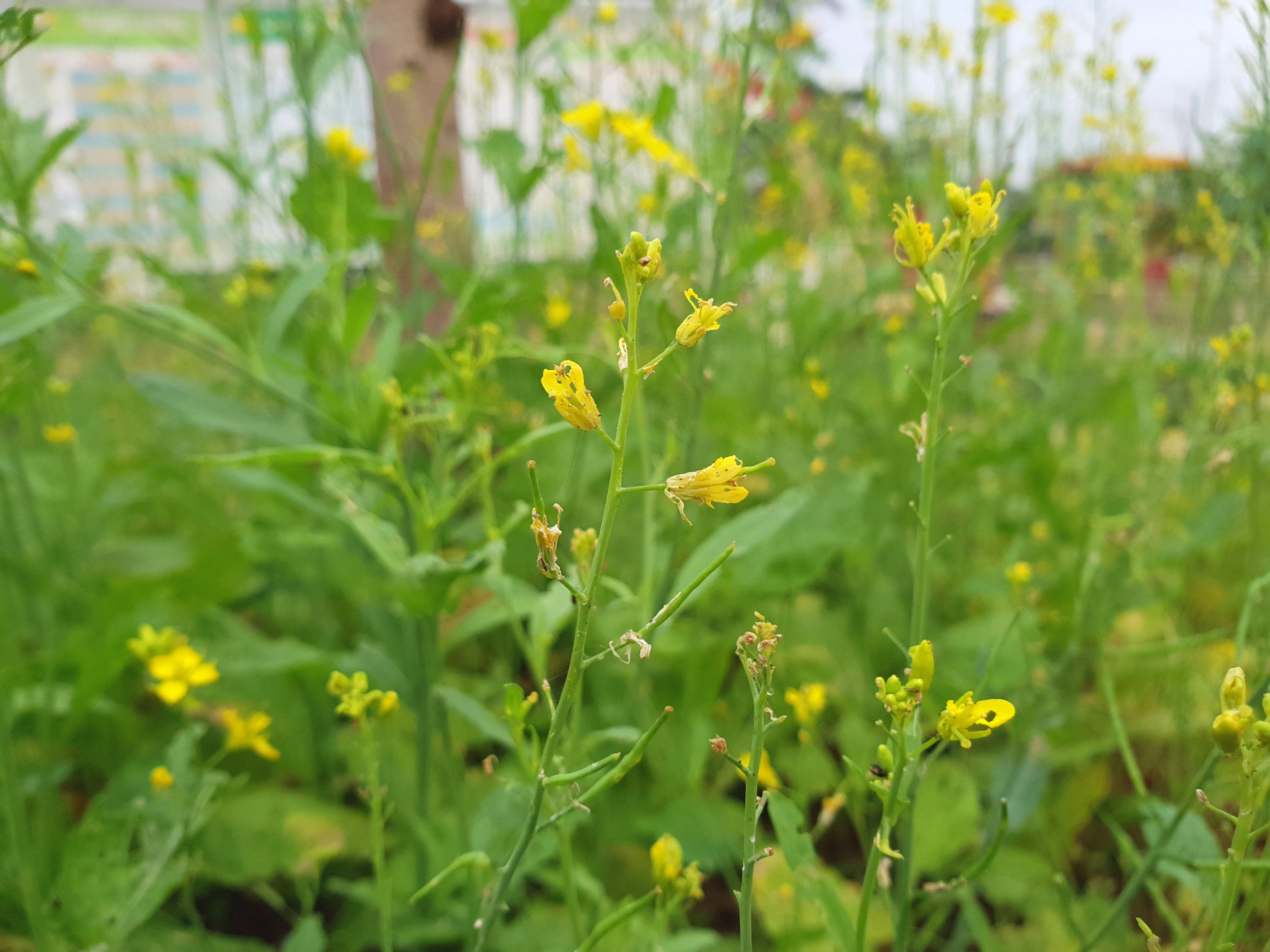 đánh giá camera S9 ảnh 4 danh gia camera S9 anh 4