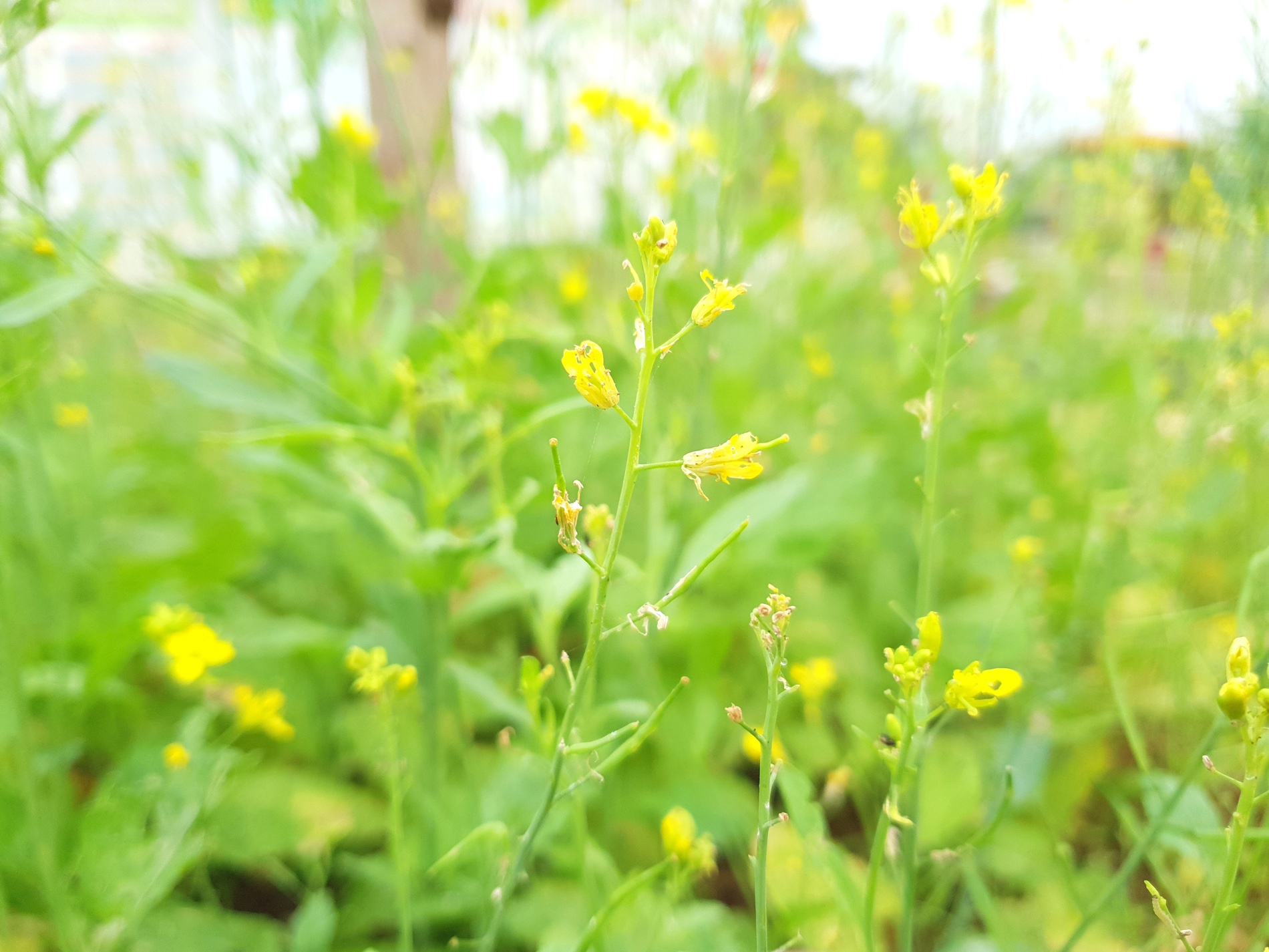 đánh giá camera S9 ảnh 5 danh gia camera S9 anh 5