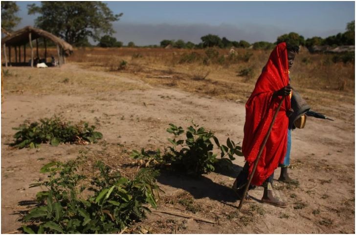 mang 5G,  bat binh dang giau ngheo anh 1