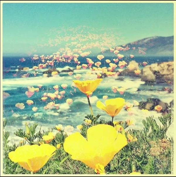 app chup anh dep nhat,  app dien thoai chup anh anh 7