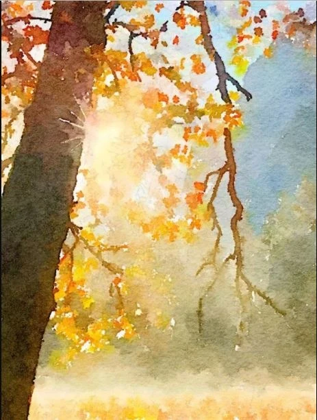 app chup anh dep nhat,  app dien thoai chup anh anh 8