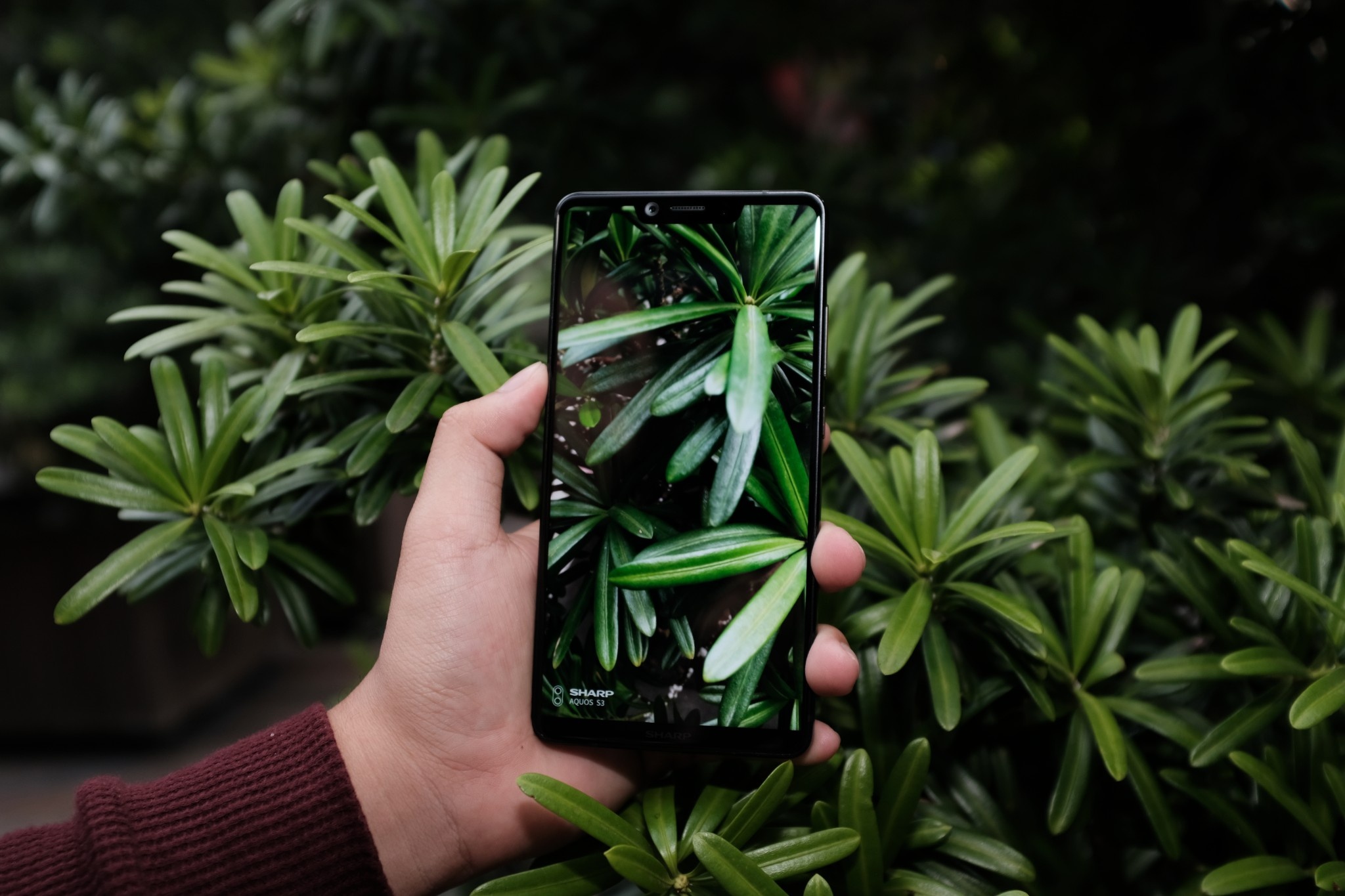 Aquos S3 va A2 Lite anh 9