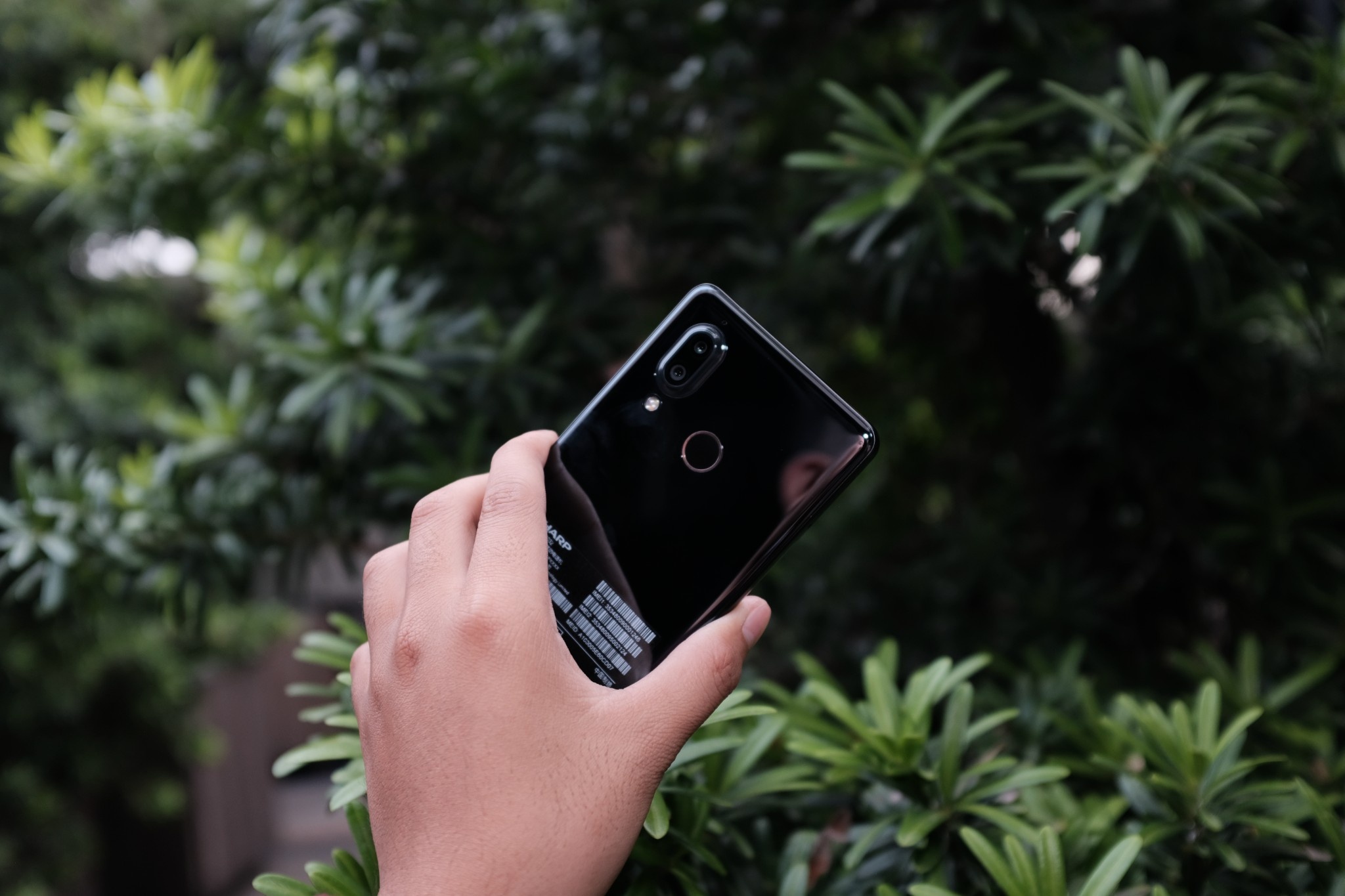 Aquos S3 va A2 Lite anh 4