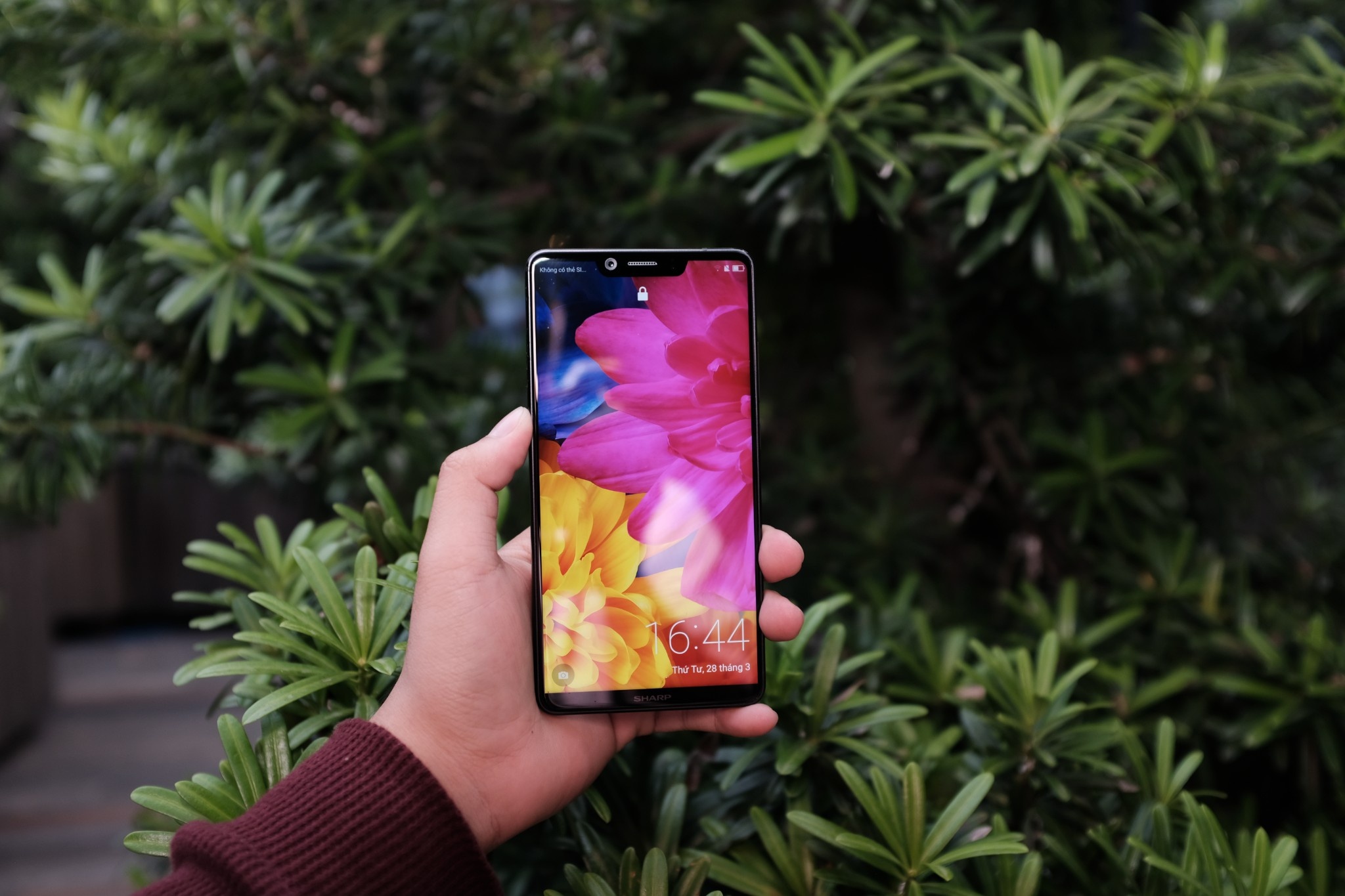 Aquos S3 va A2 Lite anh 2