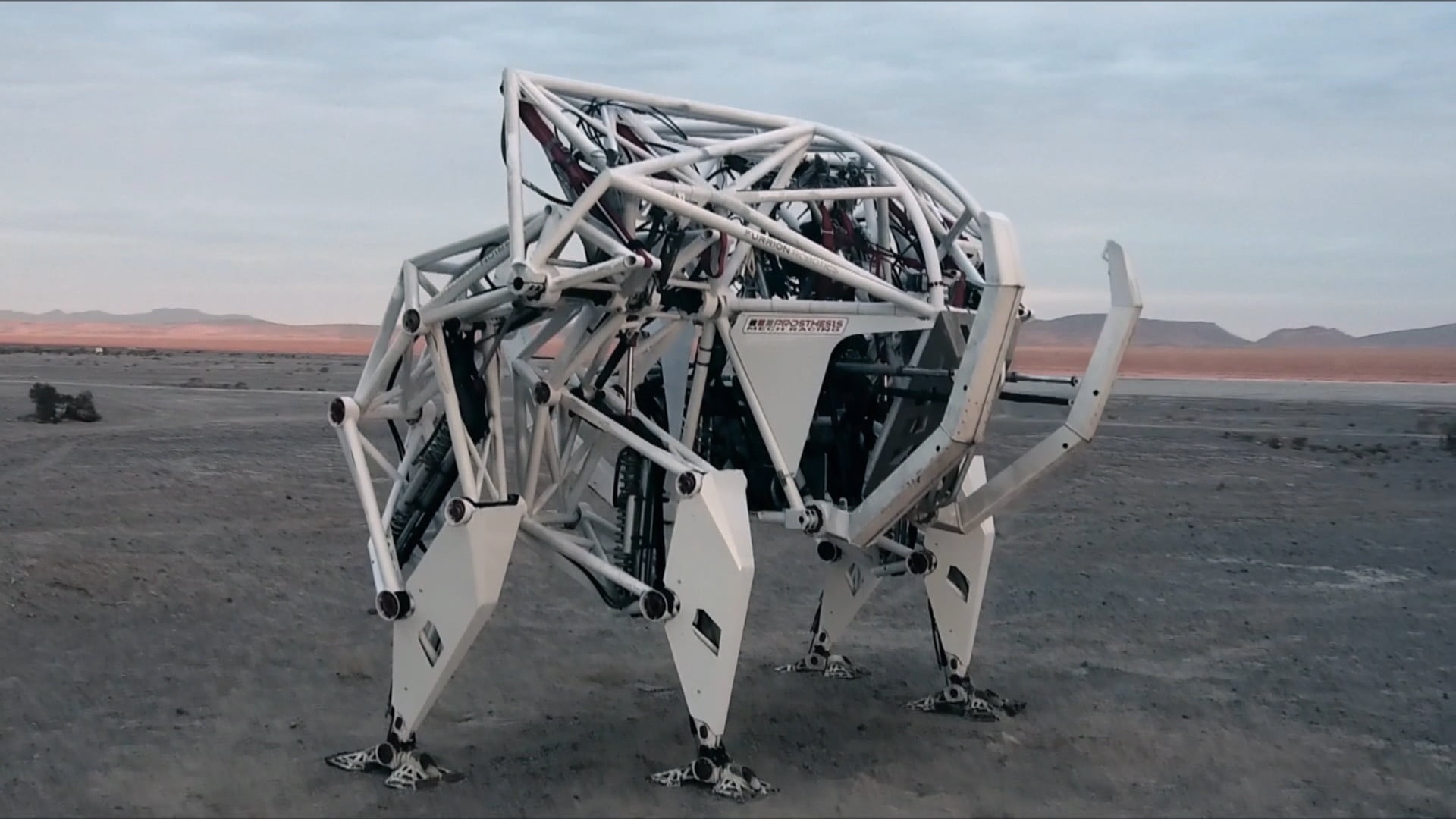 Chiec xe chan nhen lon nhat the gioi hinh anh