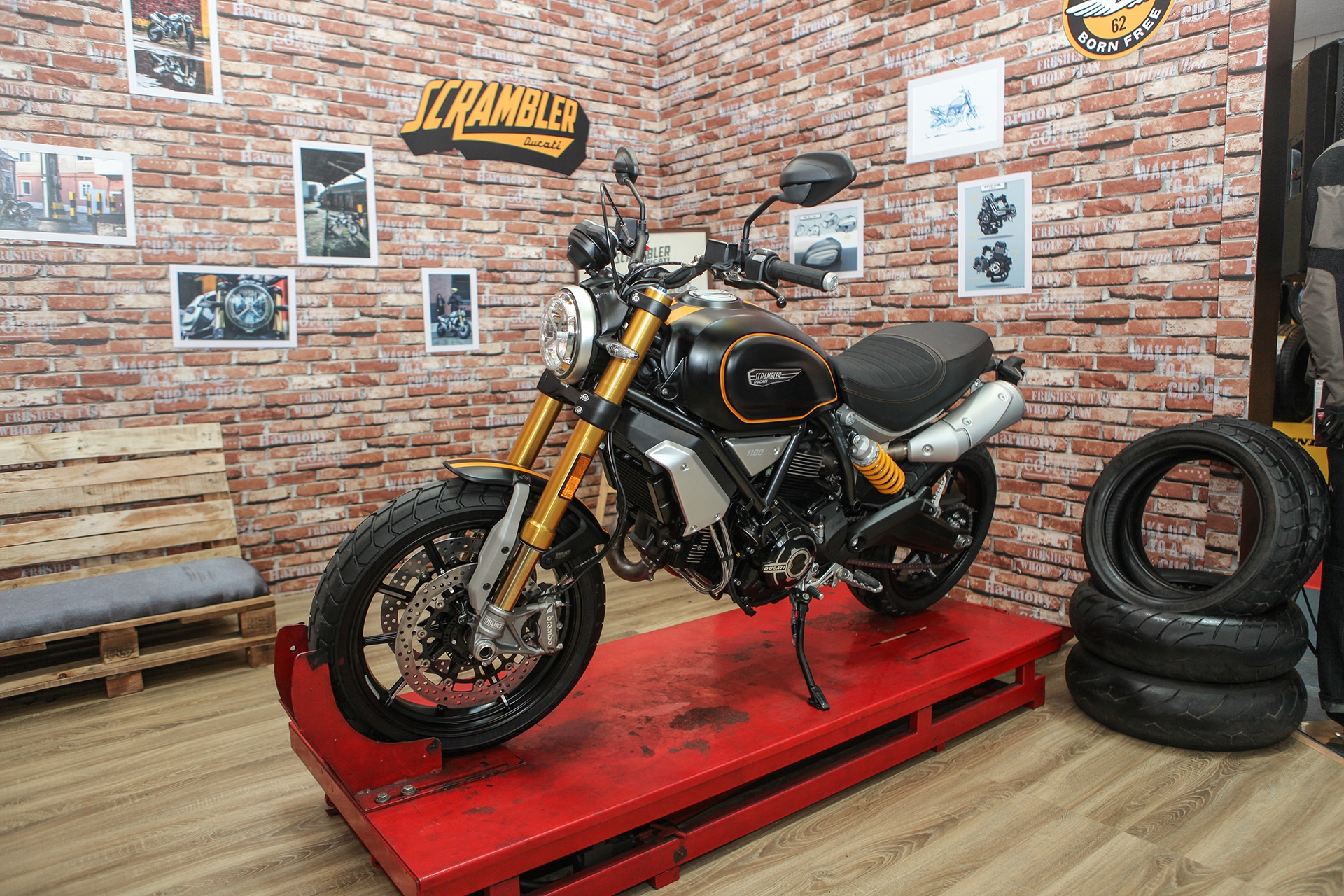 Ducati Scrambler Sport 1100 anh 1