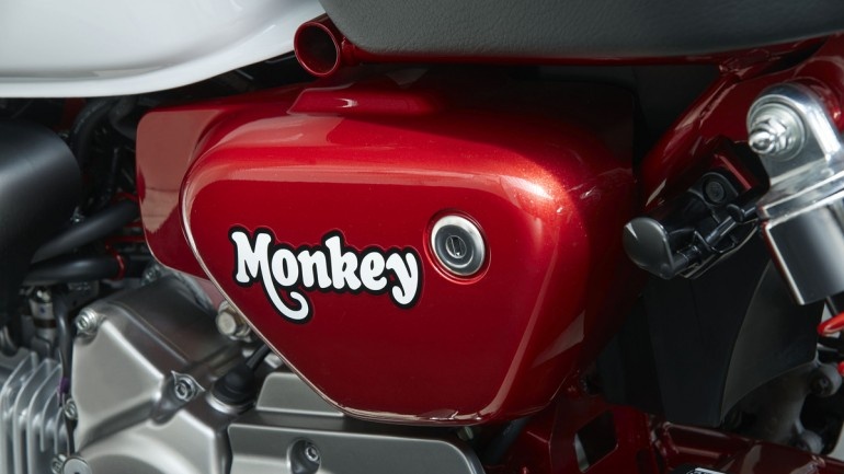 Honda Super Cub va Monkey 125 quay tro lai My anh 5