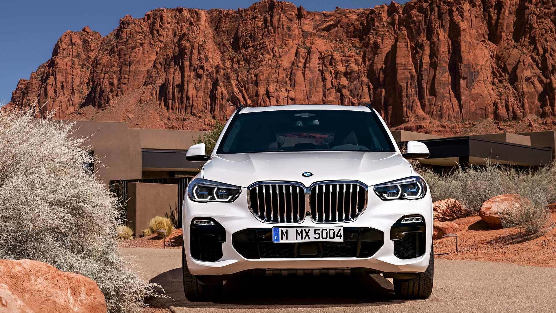anh BMW X5 2019 anh 4