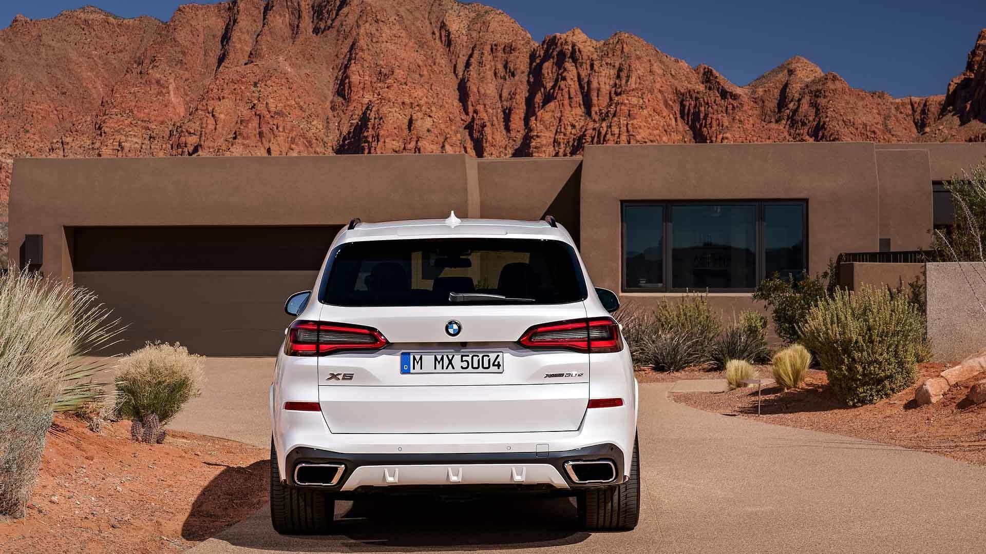 anh BMW X5 2019 anh 6