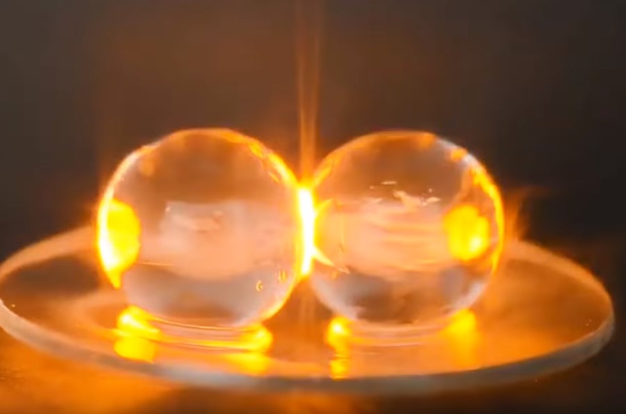 Dieu ky la xay ra khi ban cho nho vao lo vi song hinh anh