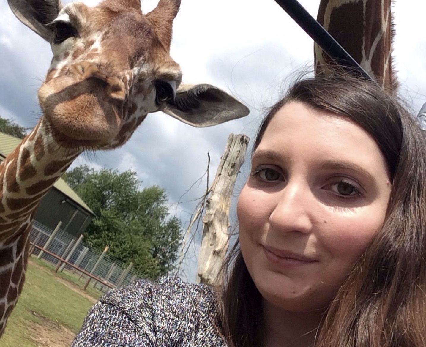 Leo rao de selfie, co gai suyt bi bao tan cong hinh anh