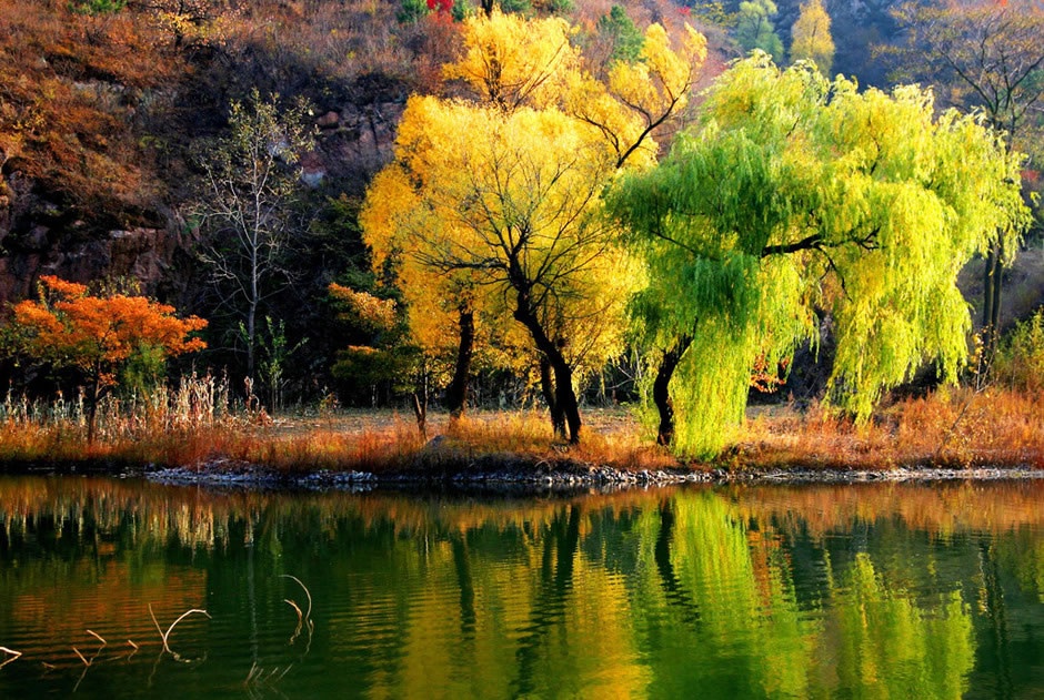 10 diem den tuyet dep cho mua thu hinh anh
