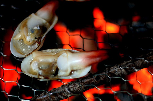 7 dac san ngon ngat ngay cua dao Cat Ba hinh anh