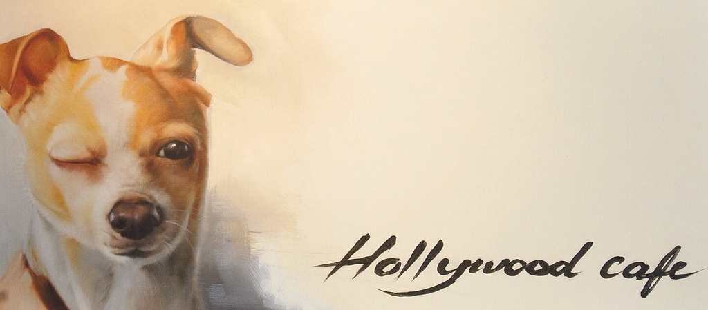 Mua sam cho thu cung tai Hollywood coffee hinh anh