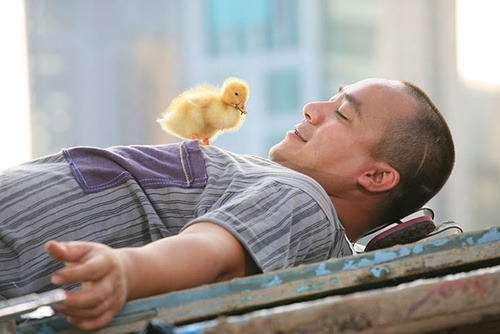 Nhung ngoi sao 'nam lun' cua showbiz Viet hinh anh