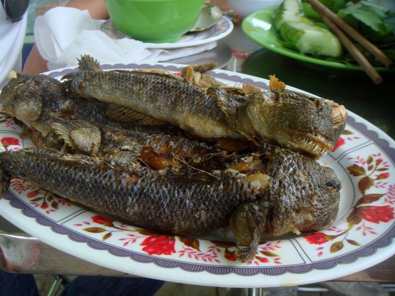 4 dac san tru danh khong phai ai cung dam dong dua hinh anh