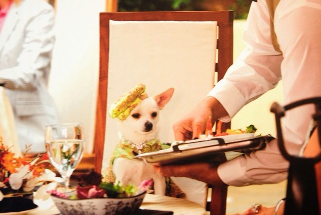 Ảnh: Nguyễn Phú Cường