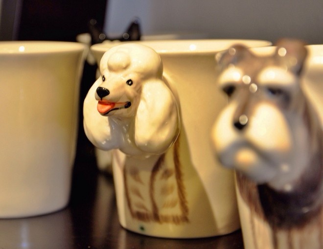 Ảnh: Nguyễn Phú Cường