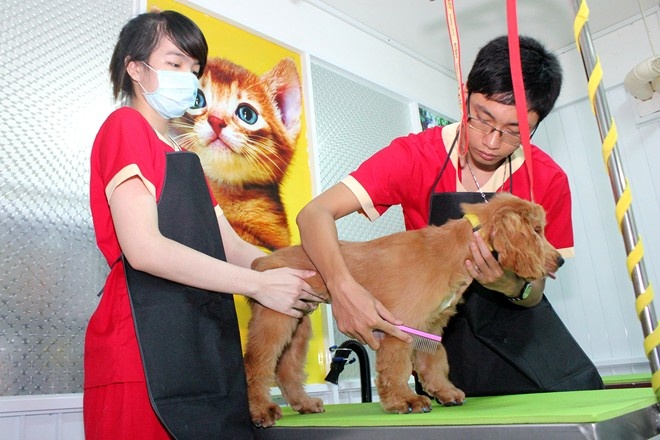 Ban khoan tu khach san 5 sao cho thu cung o Sai Gon hinh anh