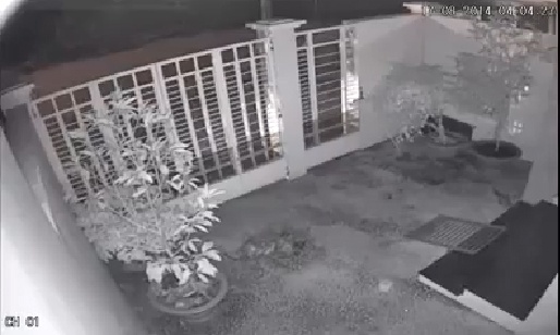 Clip an trom cho khien dan mang noi gian hinh anh