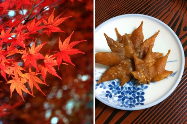 Am thuc doc dao tu la va than cay cua Viet Nam va the gioi hinh anh