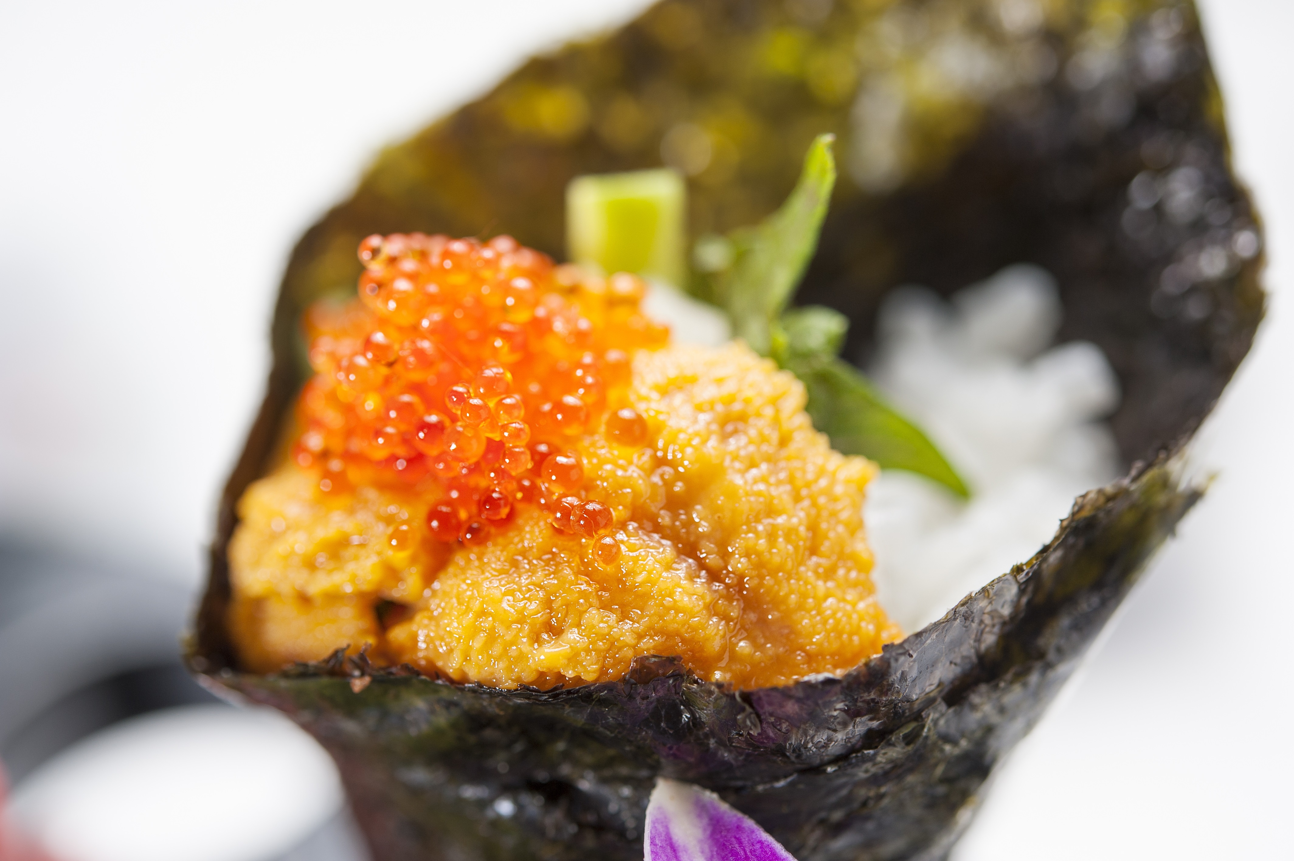 Nhim bien song, bi quyet suc khoe cua nguoi Nhat hinh anh