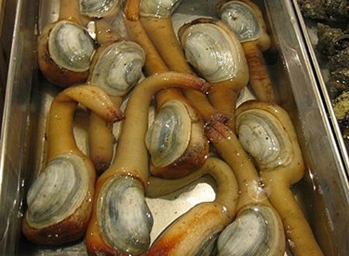 Nhung mon an xau xi, tuyet ngon tren the gioi hinh anh