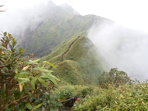 Phai lam gi de khong bi lac trong rung? hinh anh