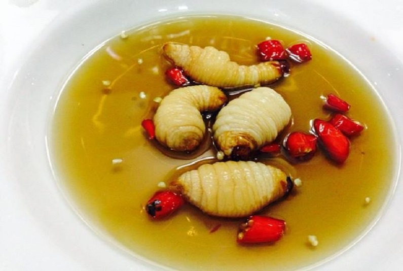 9 loai con trung dang so cua am thuc Viet hinh anh