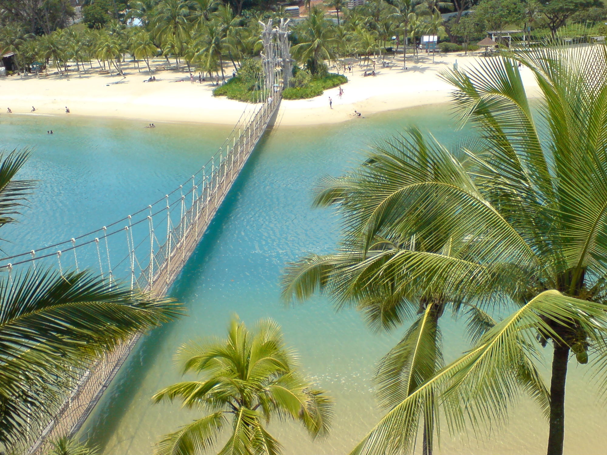 Ảnh: athenachenue.wordpress.com