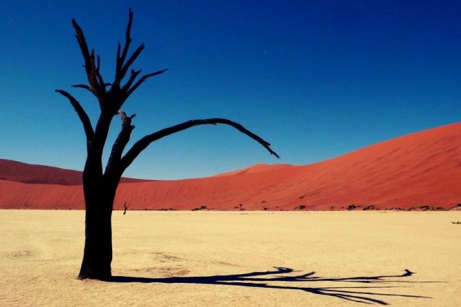 Sa mạc Namib, Namibia.