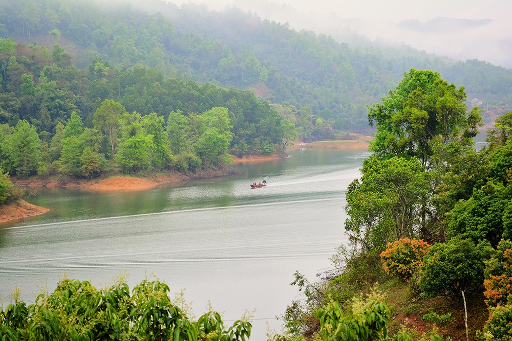 Hanh trinh kham pha 'oc dao vai' doc dao o Viet Nam hinh anh