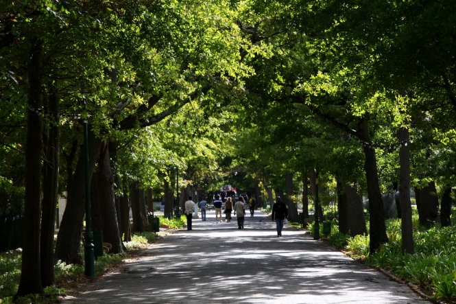 Cảnh quan thiên nhiên với biển cả, những vườn nho trải dài xung quanh cùng nhiều bảo tàng và các khu phố lịch sử đã giúp nơi này đáp ứng mọi sở thích của khách phương xa.