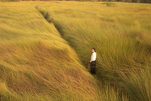 Trailer Canh dong bat tan hinh anh