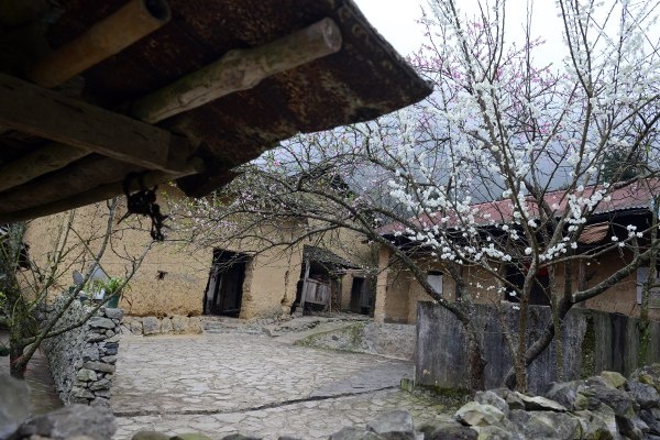 Trailer Chuyen cua Pao hinh anh