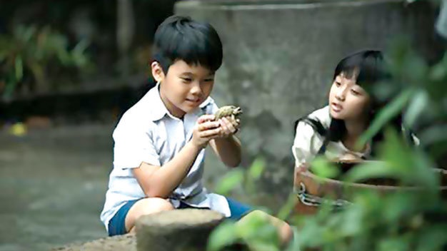 Trailer Toi thay hoa vang tren co xanh hinh anh