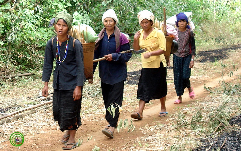 Lên rừng hái quả trong vườn Quốc gia Bù Mập. Ảnh: Pmytrung/phượt.