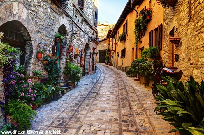 Con đường nhỏ hẹp, đậm chất Địa Trung Hải cổ kính ở Spello, Italy là điểm đến không thể bỏ qua