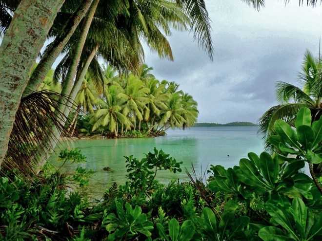 10. Palmyra Atoll nằm ở Thái Bình Dương, phía nam của đảo Hawaii. Theo truyền thuyết, trên đảo này có một năng lượng ma thuật.