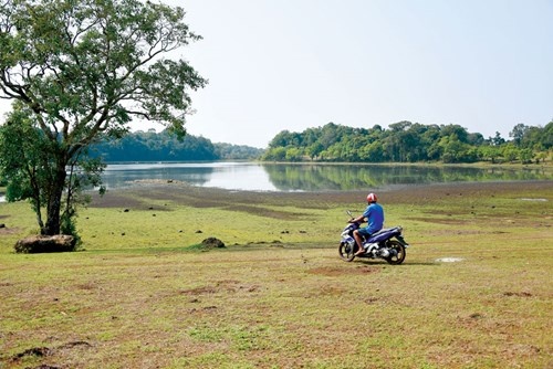 Trảng cỏ Bù Lạch.