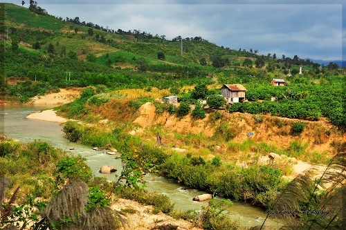 Den noi nghe tieng ga gay vang ba nuoc Dong Duong hinh anh
