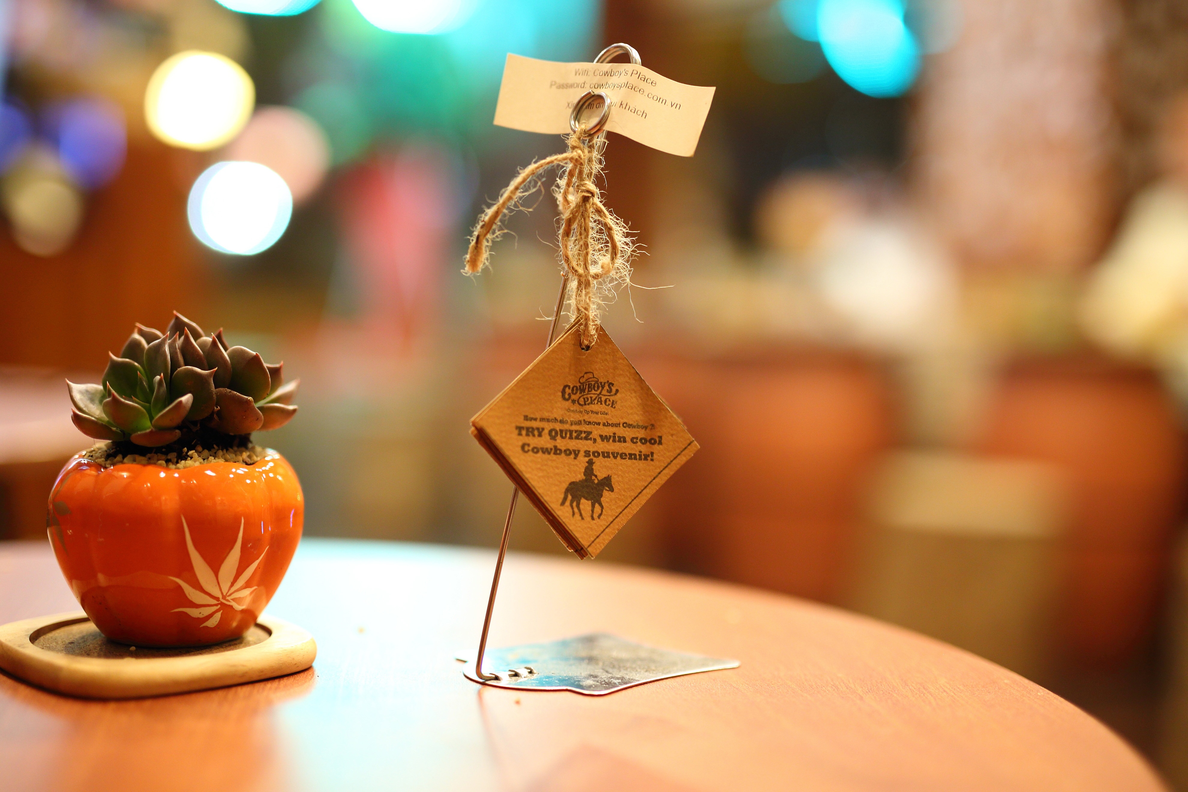 Thực đơn của quán gồm cà phê, các món đá xay. Thức ăn có hai món là sandwich và hot dog. Ảnh: Nguyễn Vũ.