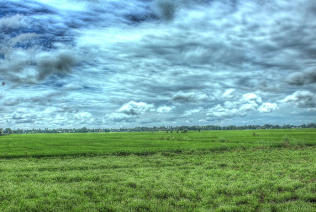 Ảnh: Intrepidphilosopher