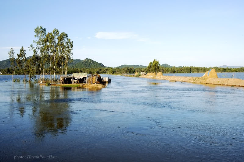 Ve Dong Thap san ca linh, bong dien dien mua nuoc noi hinh anh