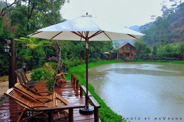 3. Ma Rừng Lữ Quán hiện là địa điểm thu hút du khách tại thành phố hoa. Lữ Quán tuyệt đẹp với tiếng suối chảy, chiếc cầu nhỏ, ngôi nhà màu tím, giàn tường vy khoe sắc.