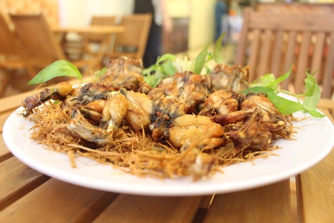 Ech chien rom gion thom, de lam hinh anh