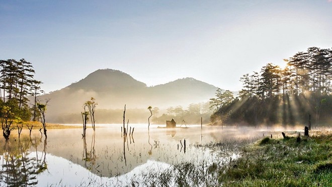 Hon 80% nguoi mua tour dip Tet la khach gia dinh hinh anh